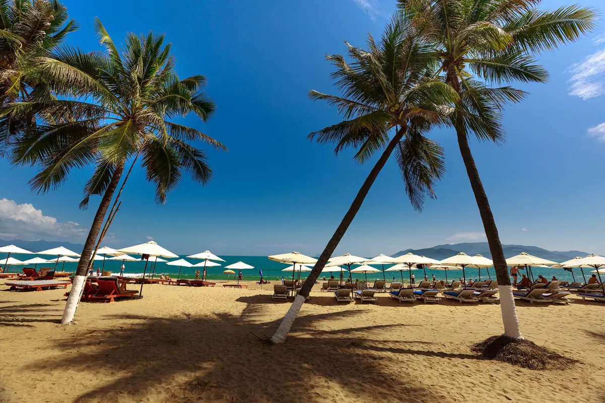 Palm trees and sun umbrellas on Nha Trang beach